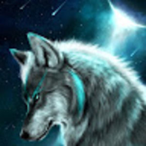 Meet your Posher, Bradley